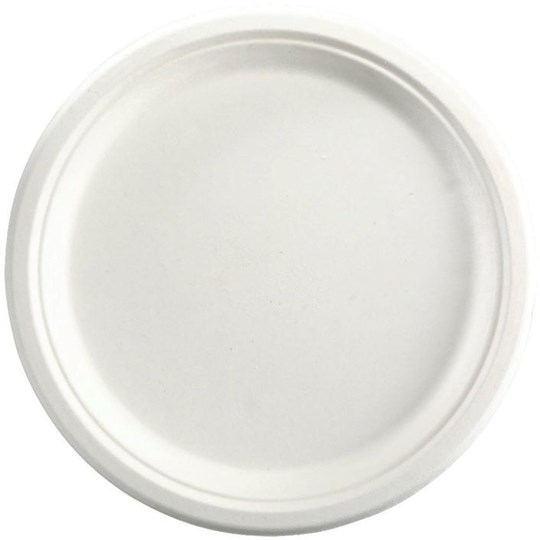 Disposable Biodegradable Dinner Plate