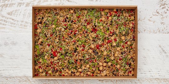 Salad Medium - Ancient grain salad (v, df) *contains nuts (Sunday)