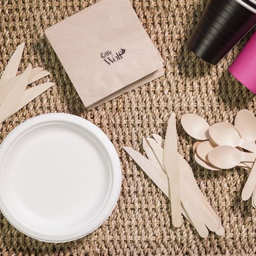 Disposable Cutlery, Plates & Extras