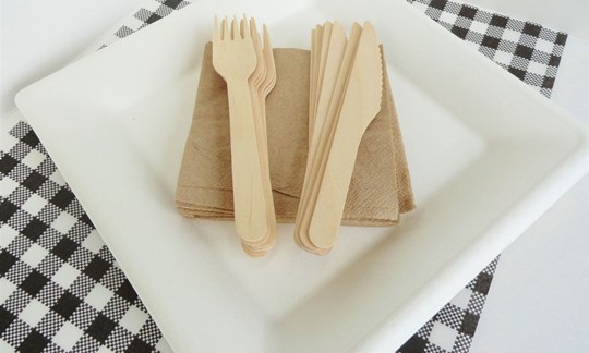 Large plates, cutlery and napkins - compostable