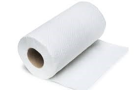 Paper Towels (1 roll)