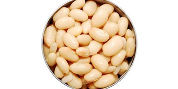 Other dry or canned beans (i.e. navy, cannellini, lima, split peas, refried pintos, mixed variety, etc.)