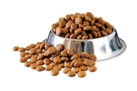 Dog food (wet or dry)