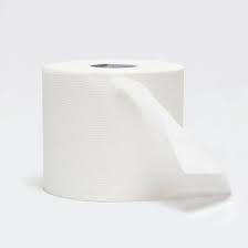 Toilet paper (2 rolls)
