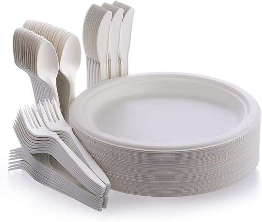 Disposable ECO Friendly Cutlery and Plate Set